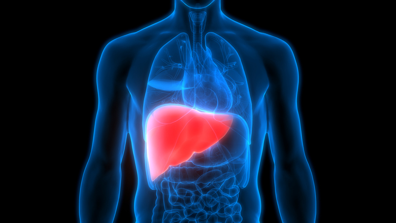 Drug-Induced Liver Injury (DILI) Toxicity Assays