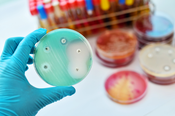 OECD 471: Bacterial Reverse Mutation Test (Ames)