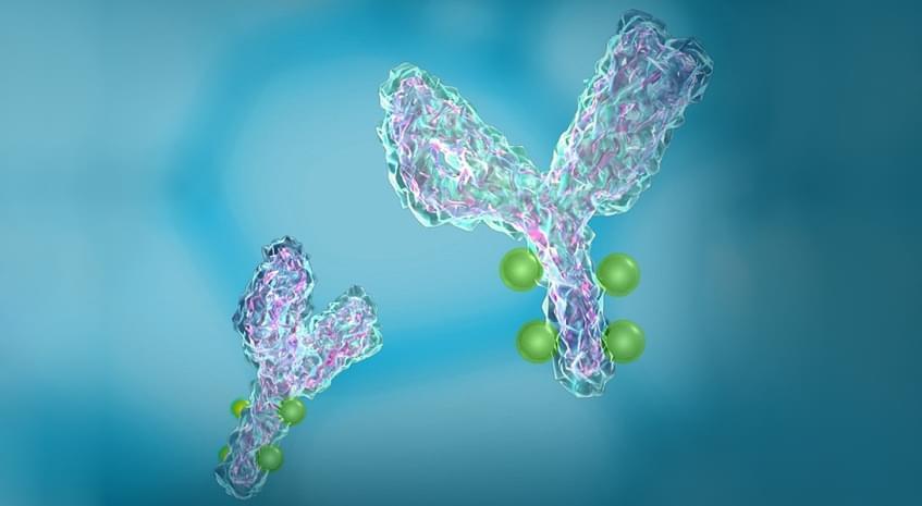 Antibody Protein De Novo Sequencing