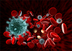 Hepatitis B Virus Models