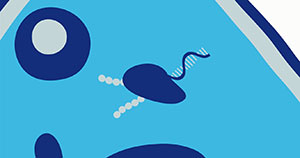 Simplicon RNA Reprogramming Technology