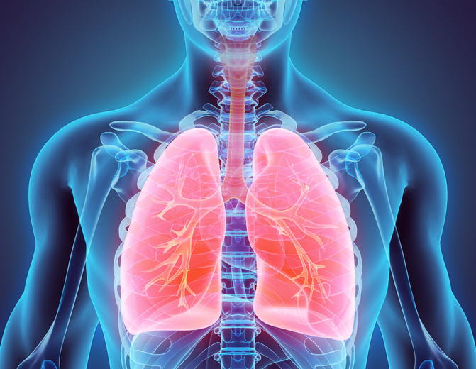 Respiratory Toxicology
