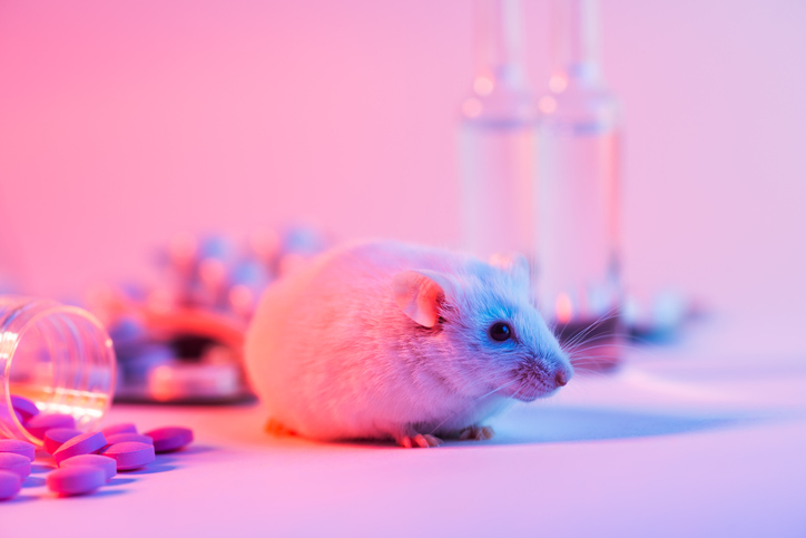 Repeat Dose Toxicity Study - Mouse