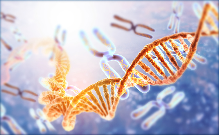 cDNA cloning & subcloning