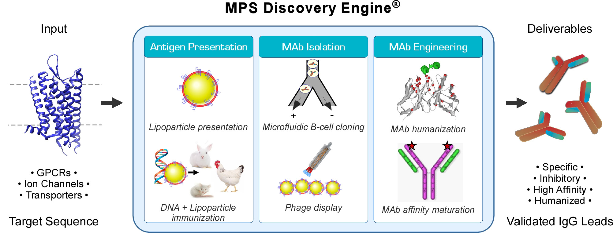 The MPS Discovery Engine