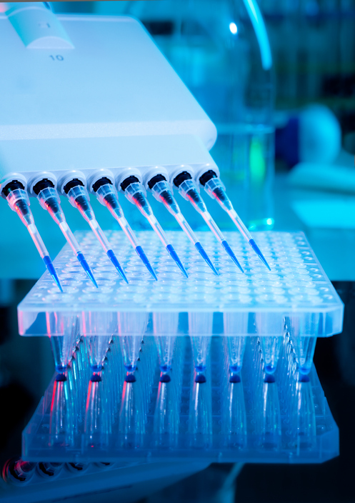 Protease Assay