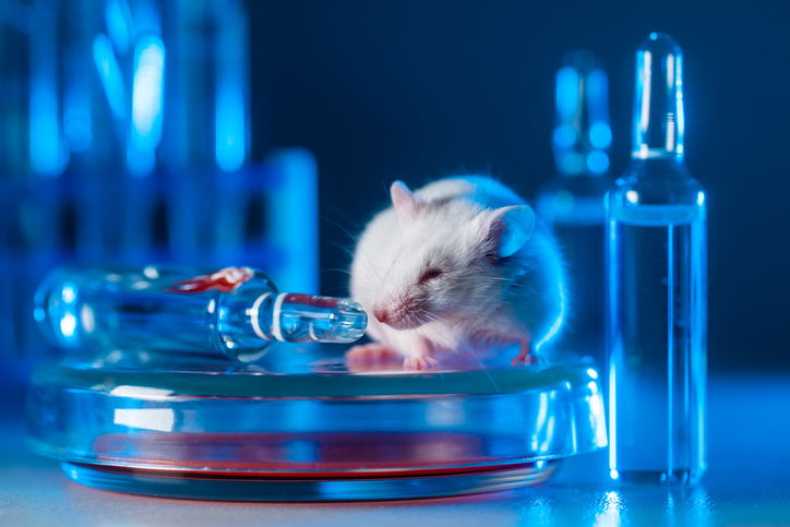 Repeat Dose Toxicity Study - Rat